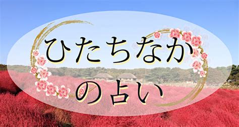 ひたちなか 占い|ひたちなか市で占い。当たる占い師7人の口コミ・評判まとめ